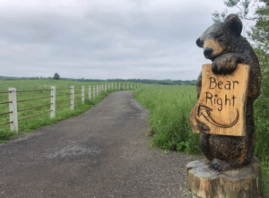 St Anne's Knights of Columbus 5K